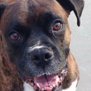 Meet your Posher, Autumn